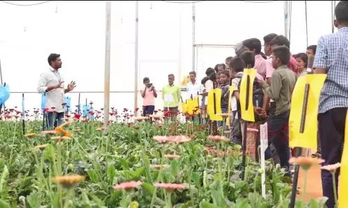 அரசு பள்ளி மாணவர்களுக்கு மலர் சாகுபடி குறித்து பயிற்சி