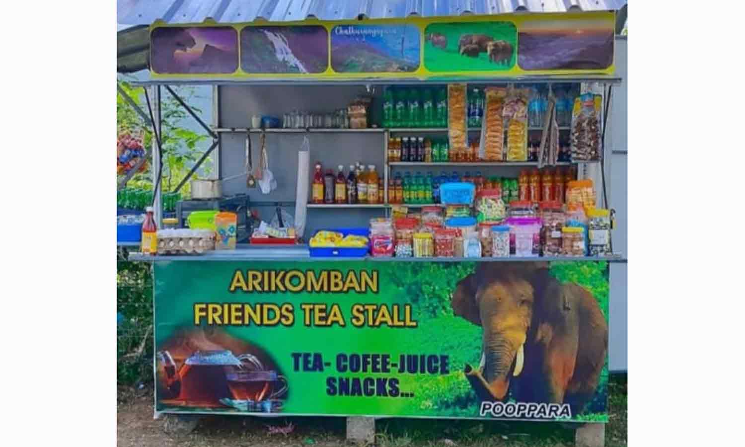 அரிசி கொம்பன் யானை பெயரில் ரசிகர் மன்றம்- ஜீப் டிரைவர்கள் தொடங்கிய டீக்கடை