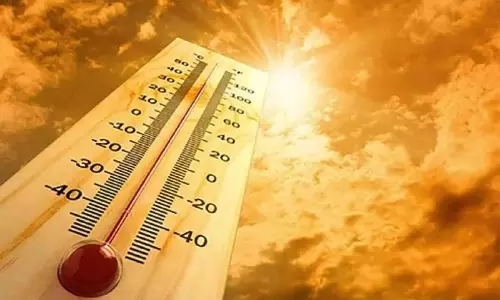 தமிழ்நாட்டில் 14 இடங்களில் வெயில் 100 டிகிரியை தாண்டியது