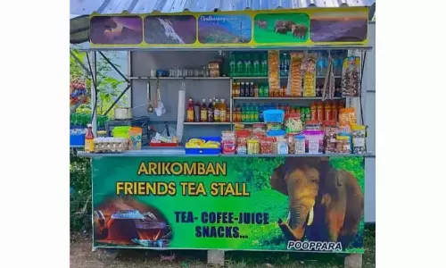 அரிசி கொம்பன் யானை பெயரில் ரசிகர் மன்றம்- ஜீப் டிரைவர்கள் தொடங்கிய டீக்கடை