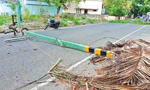 ராசிபுரத்தில் சூறாவளி காற்றுடன் மழை
