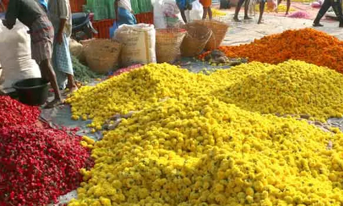 பரமத்திவேலூர் பகுதியில் பூக்கள் விலை உயர்வு