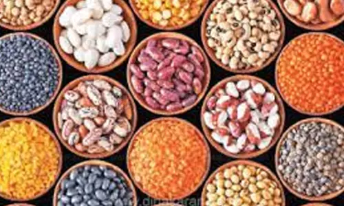 விதை விற்பனை நிலையங்களில் இணை இயக்குனர் திடீர் ஆய்வு