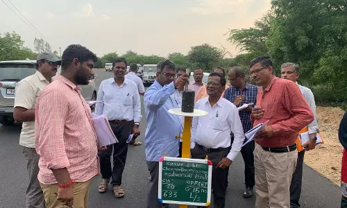 சாலை பணிகள் ஆய்வு