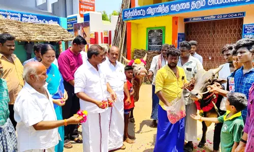 ஜல்லிக்கட்டு ஆர்வலர்கள் இனிப்பு வழங்கி கொண்டாட்டம்