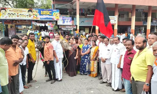 காவேரிப்பட்டணத்தில் தி.மு.க வினர் பட்டாசு வெடித்து கொண்டாட்டம்