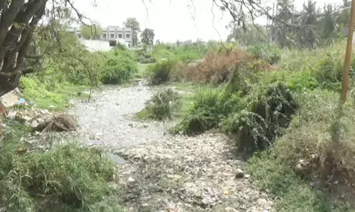 தருமபுரி சனத்குமார் நதியில் தேங்கி கிடக்கும் கழிவுநீரால் துர்நாற்றம்