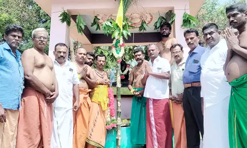 பாலதண்டாயுதபாணி கோவில் விசாக திருவிழா