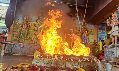 சாமுண்டீஸ்வரி கோவிலில் மிளகாய் சண்டி யாகம்