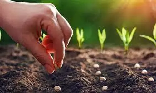 விதை பரிசோதனை நிலையம் ஆய்வு