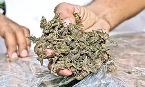 வேலூர் ஜெயிலில் கைதிகள் பதுக்கிய கஞ்சா பறிமுதல்