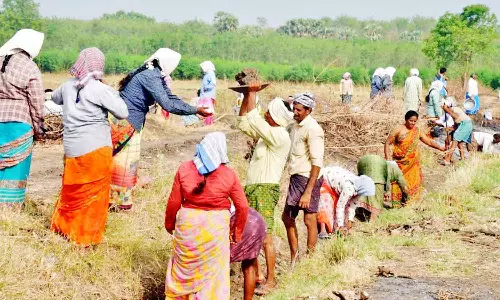 நாகையில், குளங்களை தூர்வார பொதுமக்கள் கோரிக்கை