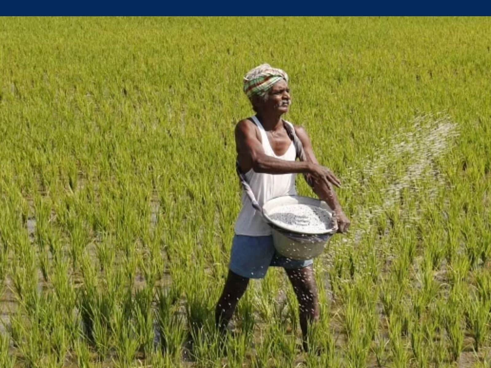 மூலனூர் வட்டார விவசாயிகள் வேளாண் அடுக்குத்திட்ட இணையத்தில் பதிவு செய்து பயன் பெறலாம் - உதவி இயக்குனர் தகவல்