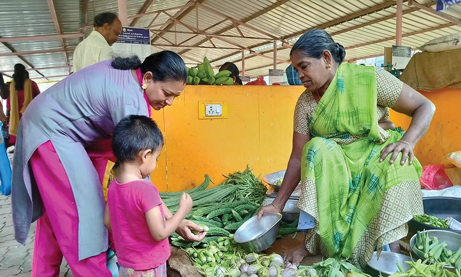 திண்டுக்கல் உழவர் சந்தையில் வரத்து குறைவால் கத்திரிக்காய் விலை கிடுகிடுவென உயர்வு திண்டுக்கல் உழவர் சந்தையில் வரத்து குறைவால் கத்திரிக்காய் விலை கிடுகிடுவென உயர்வு
