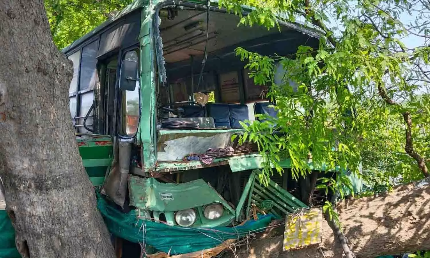 உடுமலையில் மரத்தில் அரசு பஸ் மோதி விபத்து உடுமலையில் மரத்தில் அரசு பஸ் மோதி விபத்து