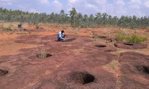 பொற்பனைக்கோட்டையில் அகழாய்வு பணிகள் தொடங்கியது
