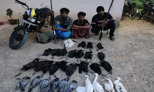 திண்டிவனம் அருகே பறவைகளை வேட்டையாடிய 3 வாலிபர்கள் கைது: 2 நாட்டு துப்பாக்கி பறிமுதல்
