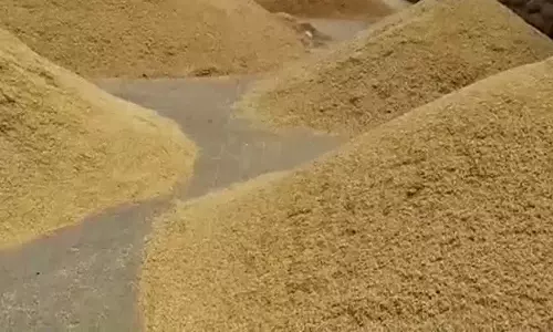 தரையில் நெல்லை கொட்டி விவசாயிகள் ஆர்ப்பாட்டம்