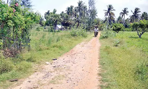 குண்டும் குழியுமான பாதை தார்சாலையாக மாற்றப்படுமா?