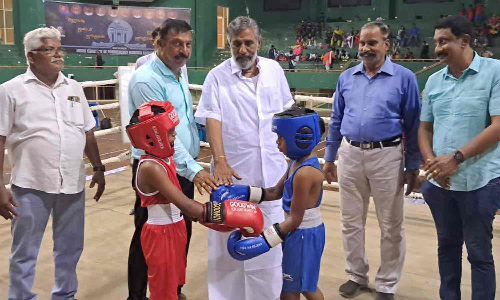 மாநில அளவிலான குத்து சண்டை போட்டி