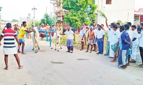 விளாத்திகுளம் அருகே கோவில் கொடை விழாவை முன்னிட்டு மாட்டுவண்டி பந்தயம்