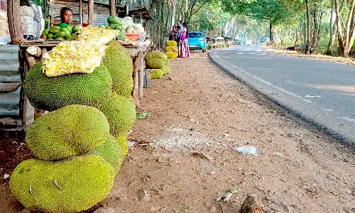 தமிழக- கர்நாடக எல்லையில் பலாப்பழங்கள் விற்பனை