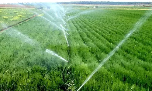 100 சதவீத மானியத்தில்  நுண்ணீர் பாசன திட்டம்