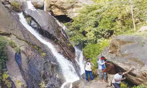 கொடைக்கானலில் ஆபத்தை உணராமல் அருவிகளில் செல்பி எடுக்கும் சுற்றுலா பயணிகள்