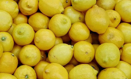 நாமக்கல் உழவர் சந்தைகளில் எலுமிச்சை ஒரு கிலோ ரூ.150-க்கு விற்பனை