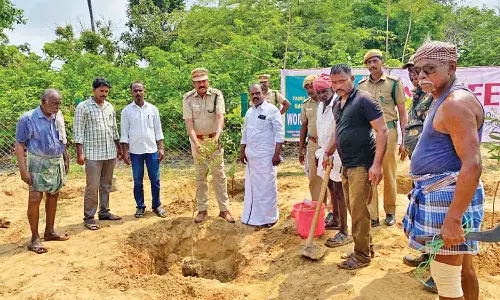 கோடியக்காடு பகுதியில் 100 மரக்கன்றுகள் நடப்பட்டது