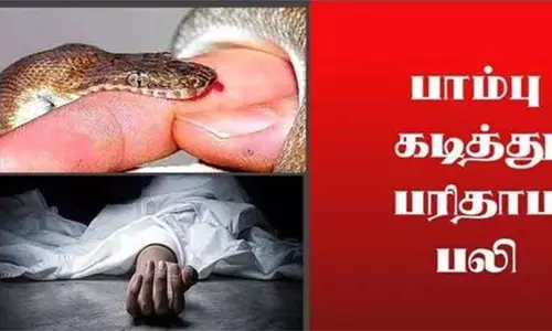 ஆடு மேய்க்க சென்ற பெண் பாம்பு கடித்து சாவு