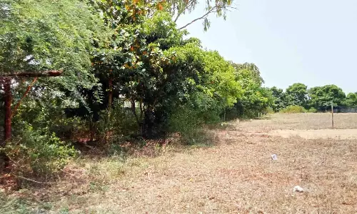 உடுமலை மாணவர்கள் விளையாட்டில் சாதிக்க அரசு மேல்நிலைப்பள்ளி மைதானம் சீரமைக்கப்படுமா?