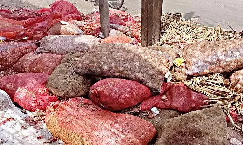 அதிக வெப்பத்தால் அழுகும் நிலை: மூட்டை மூட்டையாக குப்பையில் வீசப்பட்ட வெங்காயம்