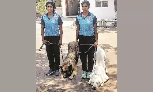 தமிழ்நாட்டிலேயே முதல் முறையாக மோப்ப நாய்களுக்கு பயிற்சி அளிக்கும் 2 பெண் போலீசார்