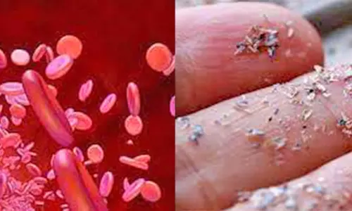 மனிதனின் ரத்தத்தில் பிளாஸ்டிக் நுண்துகள்கள் கண்டுபிடிப்பு