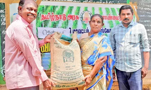 செங்கோட்டையில் நெல் விதை மானியத்தில் விநியோகம்