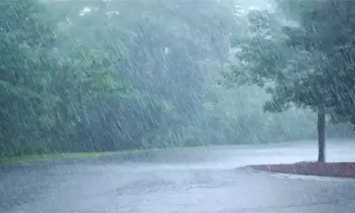 சேலம் மாவட்டத்தில் பரவலாக மழை