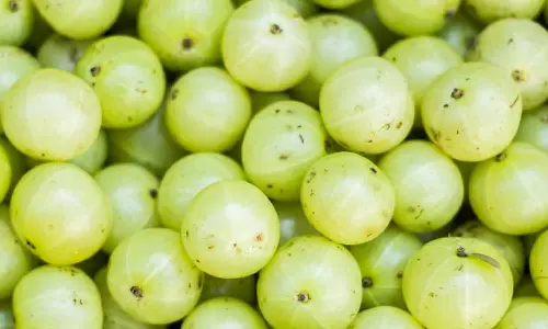 இதயம் காக்கும் நெல்லி