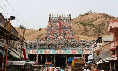 திருப்பரங்குன்றம் கோவிலில் பக்தர்களுக்கு நாள்தோறும் பிரசாதம் வழங்கும் திட்டம் விரைவில் தொடக்கம்