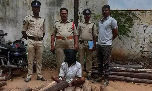 ஆந்திராவில் செம்மரம் கடத்திய கள்ளக்குறிச்சி வாலிபர் கைது