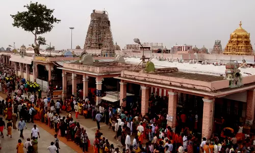 பழனி முருகன் கோவிலில் வைகாசி விசாக திருவிழா 27-ந்தேதி கொடியேற்றத்துடன் தொடங்குகிறது