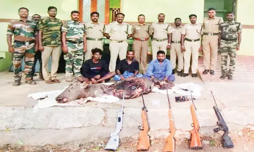 பெரும்பாறை அருகே கடமான் வேட்டையாடிய 3 பேர் கைது