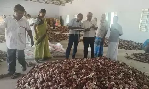 15 டன் கொப்பரை தேங்காய் கொள்முதல்