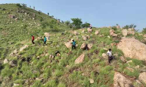 டிரோன் கேமரா மூலம் சாராயம் குறித்து போலீசார் ஆய்வு