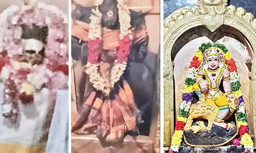 தஞ்சை கொங்கணேஸ்வரர் கோவிலில் வைகாசி விசாக பெருவிழா கொடியேற்றத்துடன் தொடக்கம்