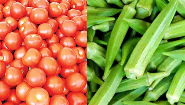 தக்காளி, வெண்டைக்காய் 12 ரூபாய்க்கு விற்பனை