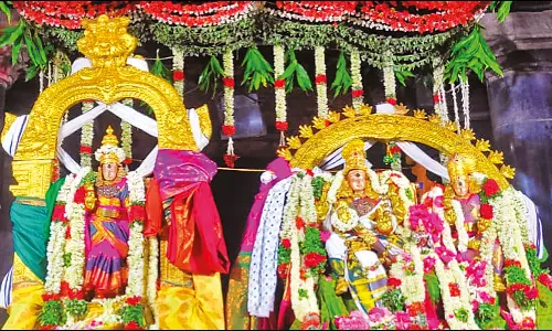 மதுரை மீனாட்சி அம்மன் கோவிலில் வைகாசி வசந்த உற்சவம் தொடங்கியது