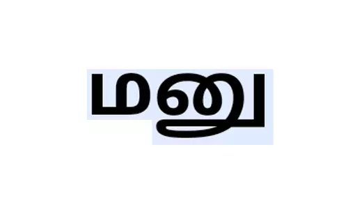 ஜமாபந்தியில் 294 மனுக்கள் பெறப்பட்டன