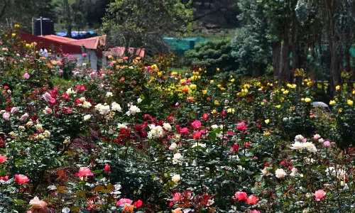 கொடைக்கானலில் நாளை தொடங்குகிறது: கோடை விழா மற்றும் 60-வது மலர் கண்காட்சி