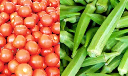 தக்காளி, வெண்டைக்காய் 12 ரூபாய்க்கு விற்பனை